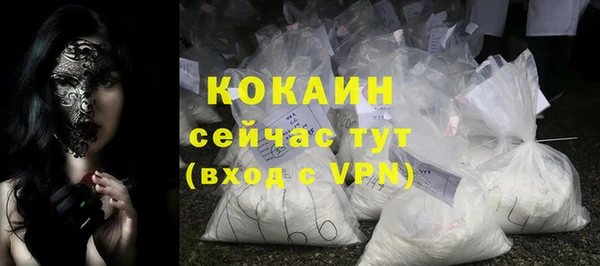 стаф Арсеньев