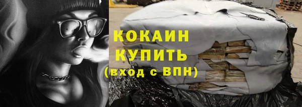 стаф Арсеньев