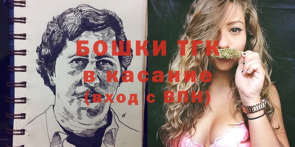 прущие грибы Новозыбков