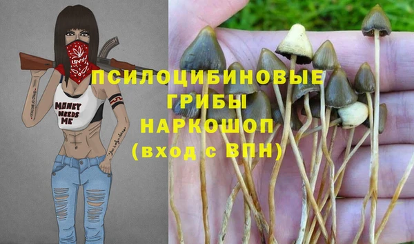 первитин Армянск