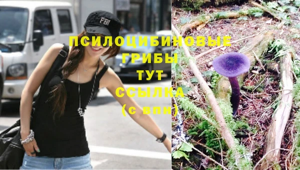 МДПВ Няндома