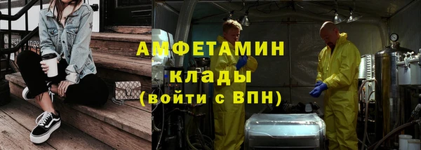прущие грибы Новозыбков