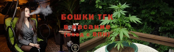 стаф Арсеньев